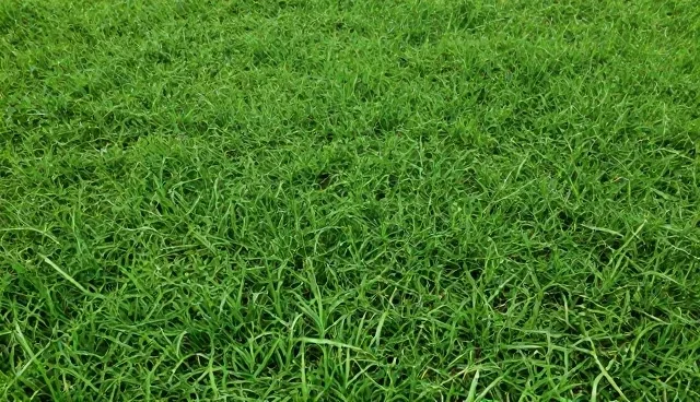 运维场景中技术转让的常见问题与应对策略